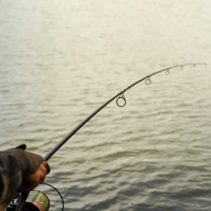 OMC Black Pearl Carp Rods
